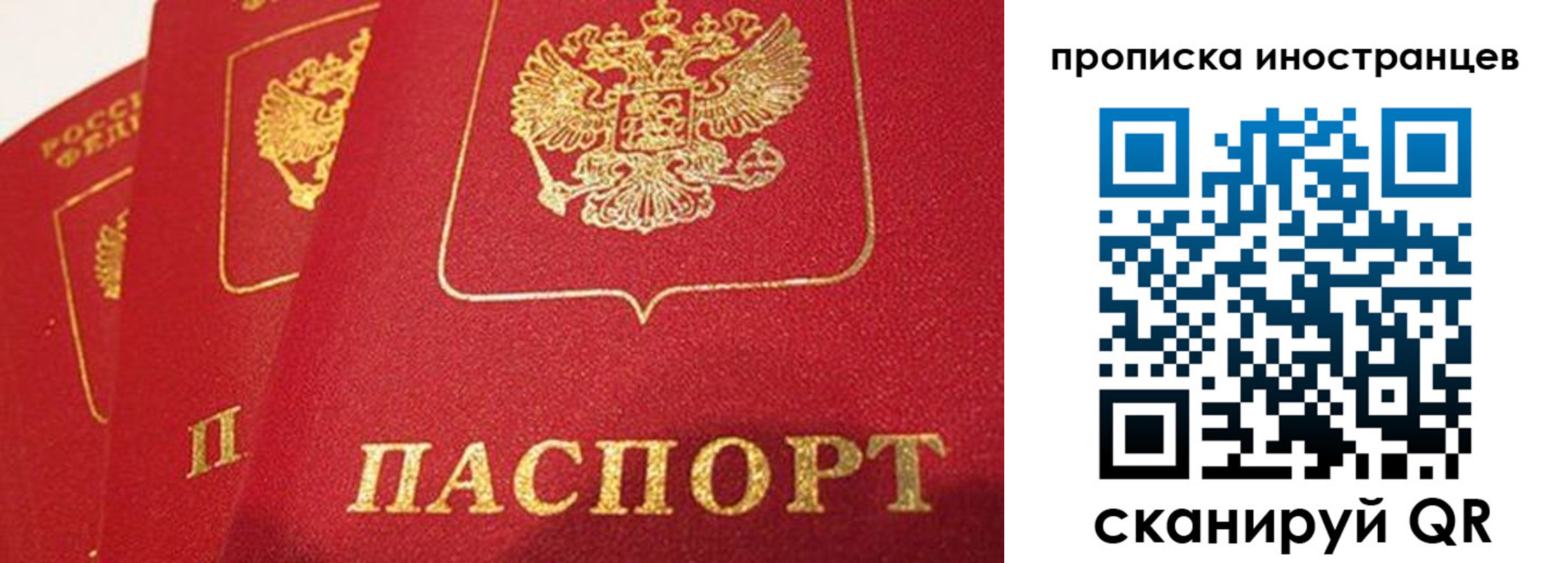 прописка для школы в Орле